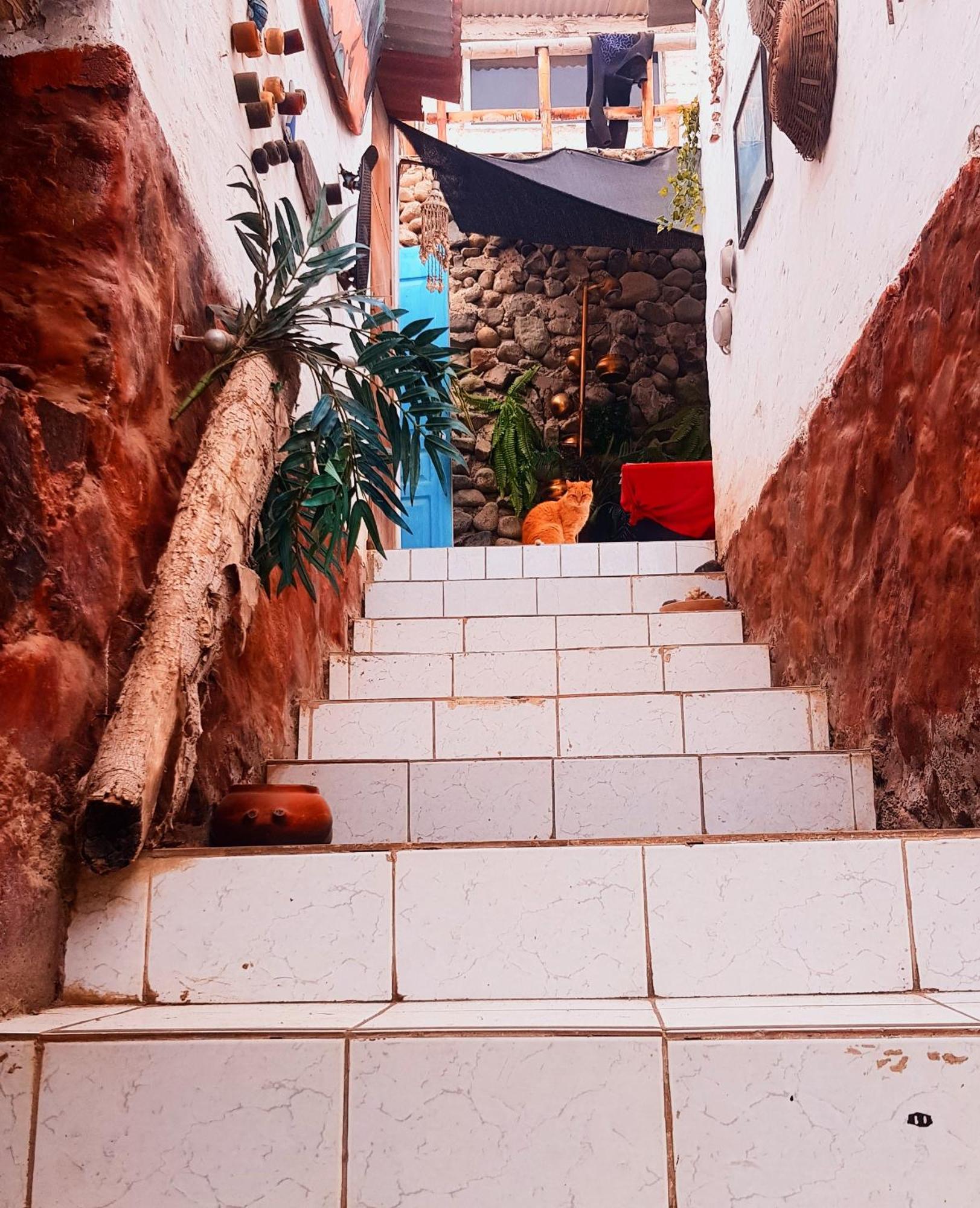 Huanchaco Surf Camp Apartment Luaran gambar