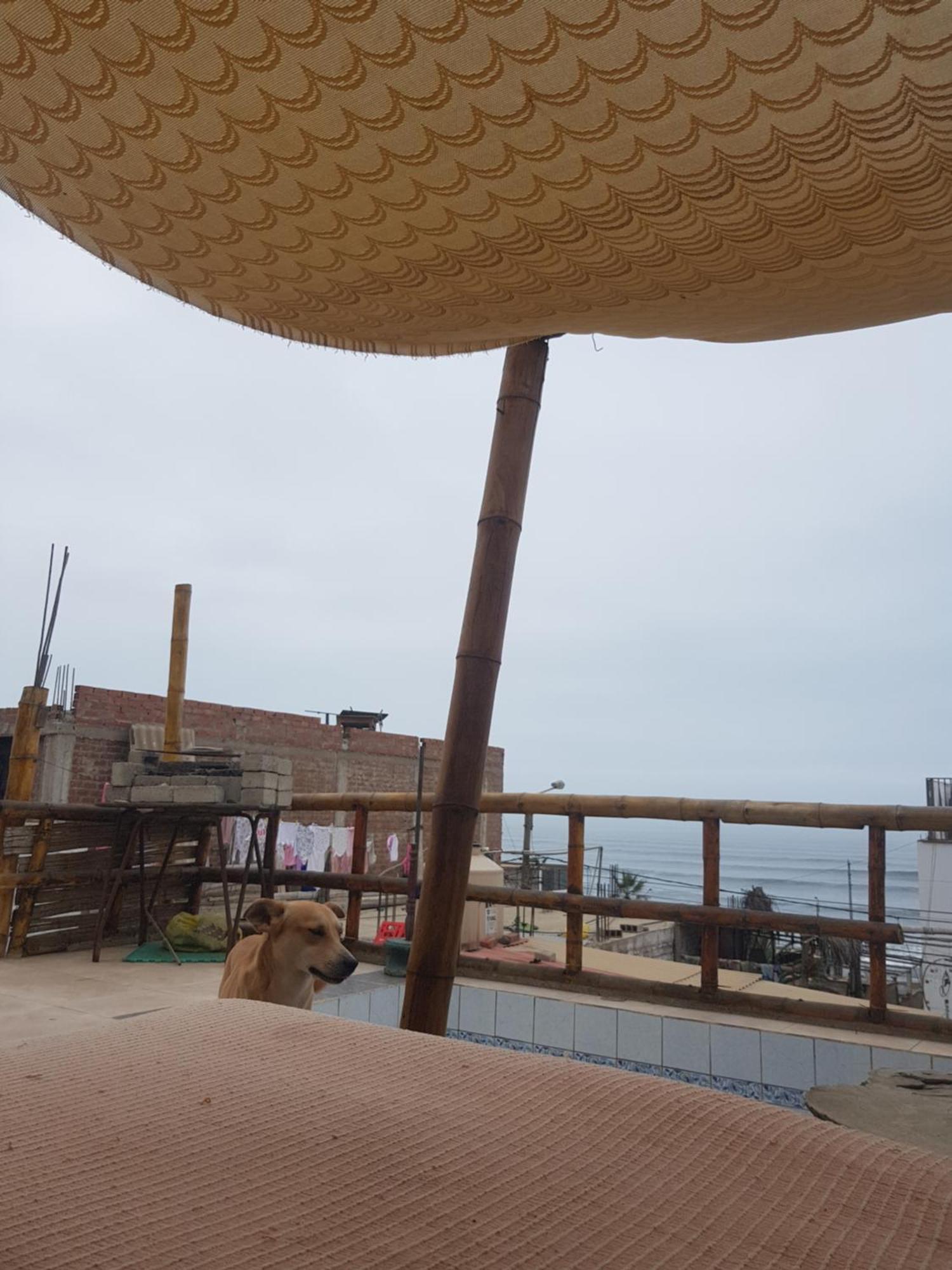 Huanchaco Surf Camp Apartment Luaran gambar